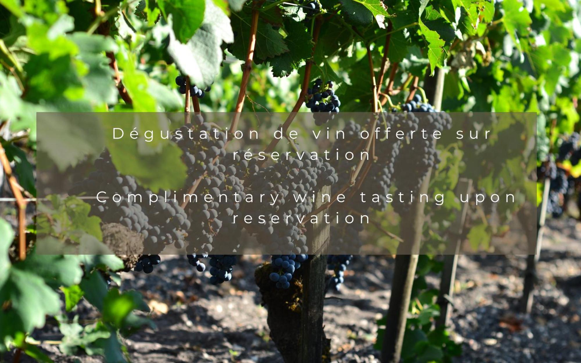 Chateau Leognan, Domaine Viticole - Proche Bordeaux Bagian luar foto